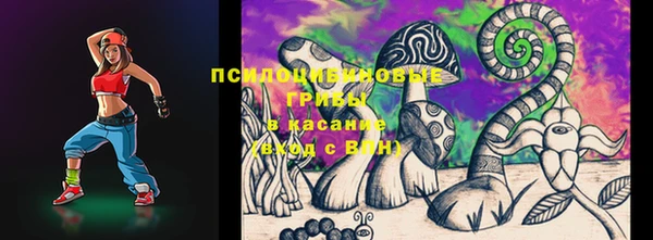 прущий лед Арсеньев