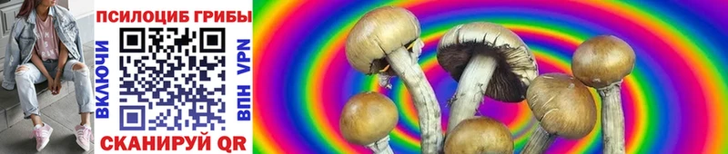 Псилоцибиновые грибы Cubensis  Балашиха 