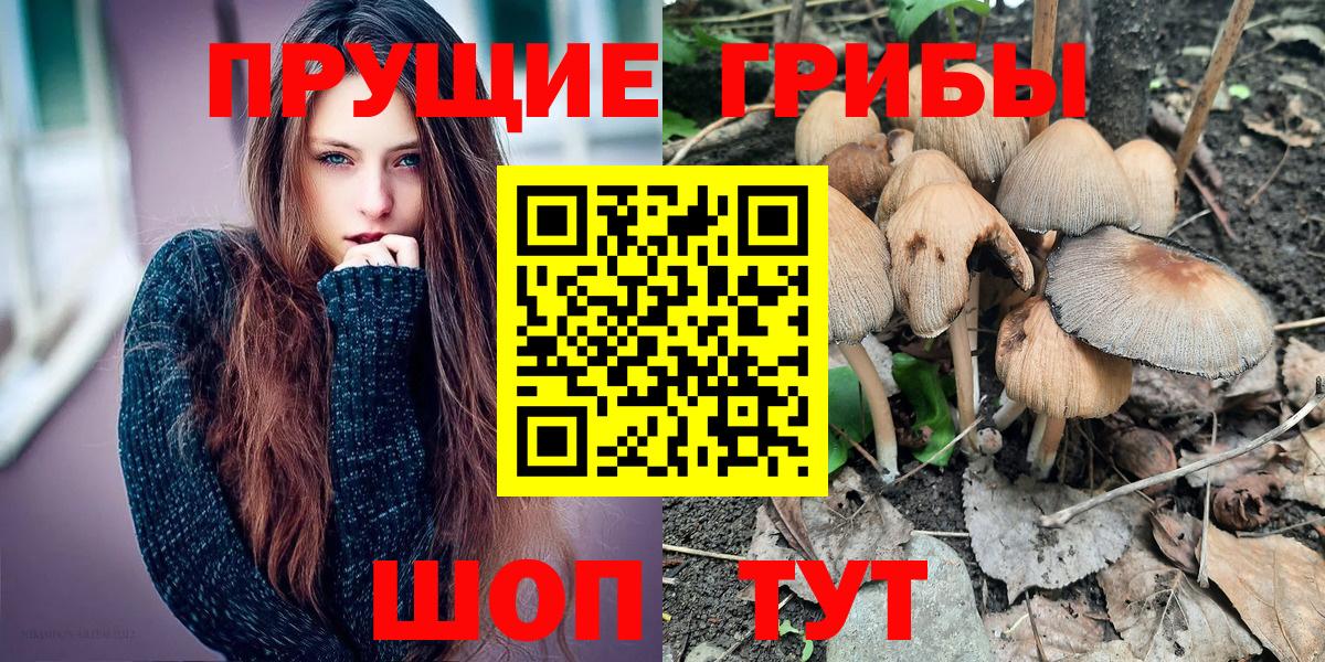 Галлюциногенные грибы Cubensis Балашиха