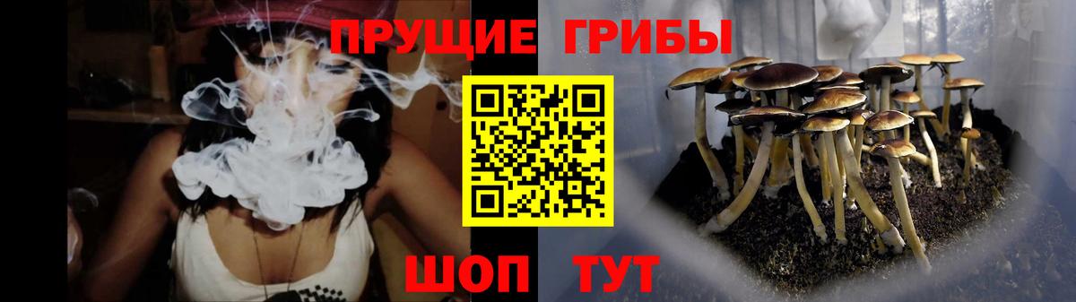 Псилоцибиновые грибы MAGIC MUSHROOMS  как найти наркотики  Балашиха  Вход с VPN  Галлюциногенные грибы мицелий 